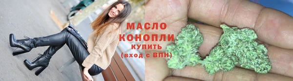 индика Волоколамск