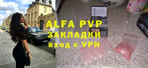 индика Волоколамск