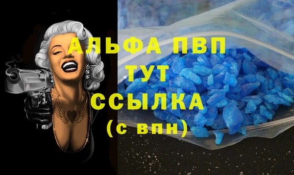 индика Волоколамск