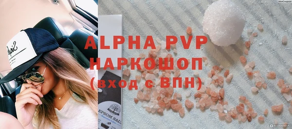 индика Волоколамск