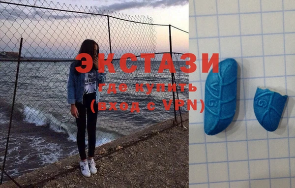 индика Волоколамск