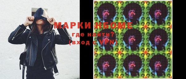индика Волоколамск