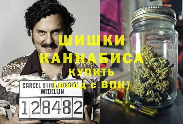 индика Волоколамск