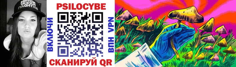 Галлюциногенные грибы Cubensis  Купить закладки  Эртиль 