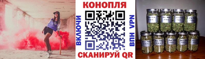 Купить закладки  Эртиль  Бошки марихуана Bruce Banner 
